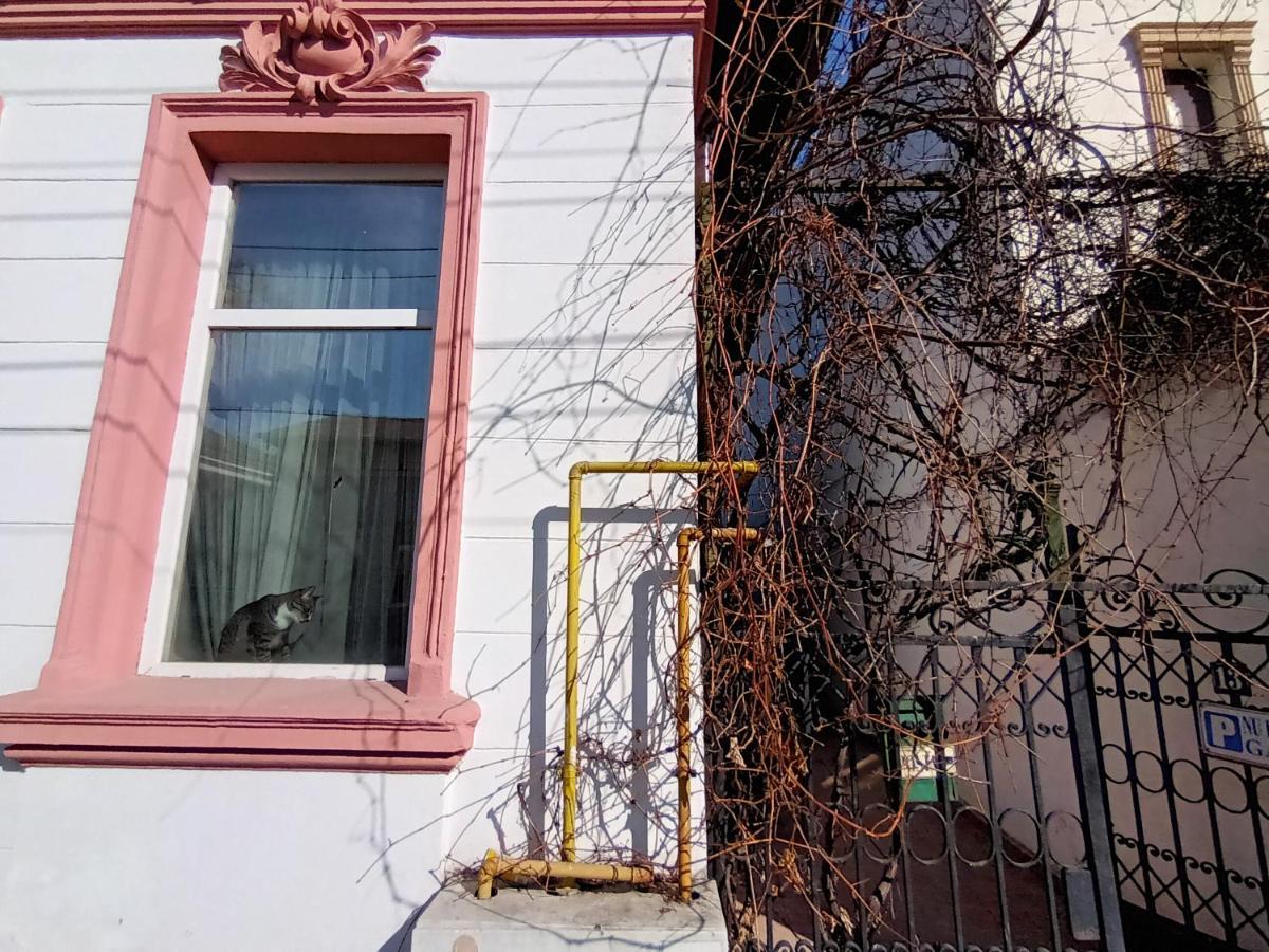 Casa Liveni Leilighet Bucureşti Eksteriør bilde