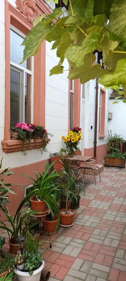 Casa Liveni Leilighet Bucureşti Eksteriør bilde